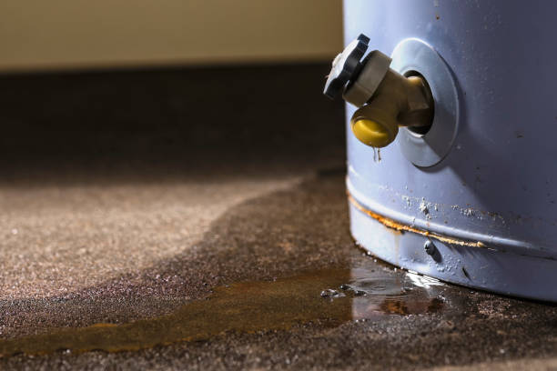 Best Flood restoration services  in Belvedere, SC