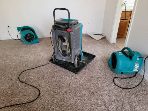 Best Water damage restoration near me  in Belvedere, SC