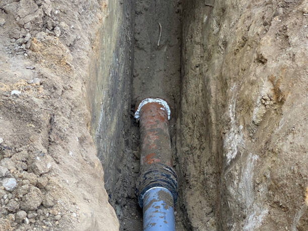 Best Sewage cleanup and water damage restoration  in Belvedere, SC