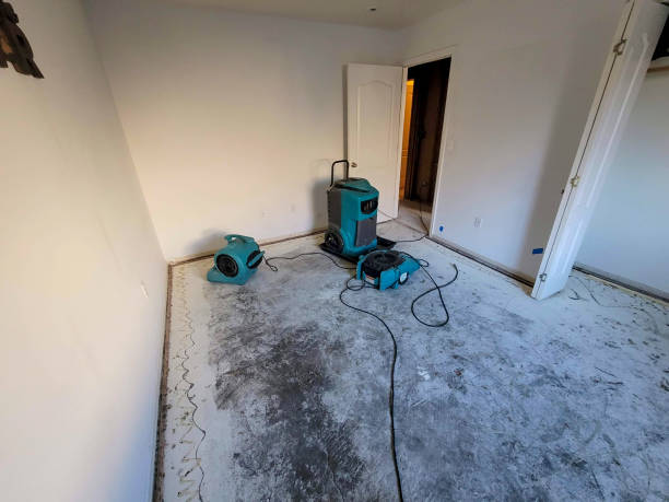 Water damage restoration mold remediation in SC