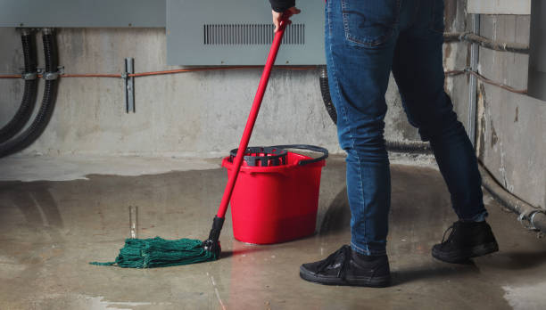 Best Water damage contractors near me  in Belvedere, SC