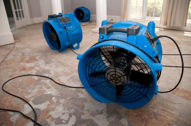 Best Water damage cleanup near me  in Belvedere, SC