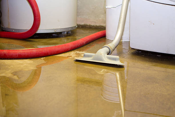 Best Fire Damage Restoration  in Belvedere, SC