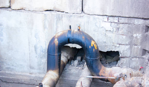 Best Local water damage restoration  in Belvedere, SC