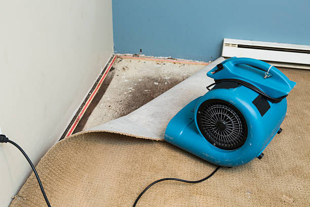 Best 24/7 water damage repair  in Belvedere, SC